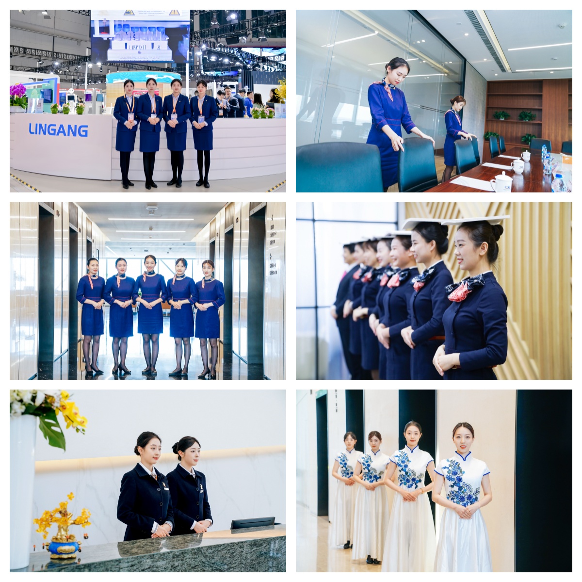 6686���� - ��ͨ�ײ�ȫ������������������