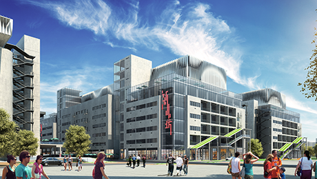 ��ϵ����