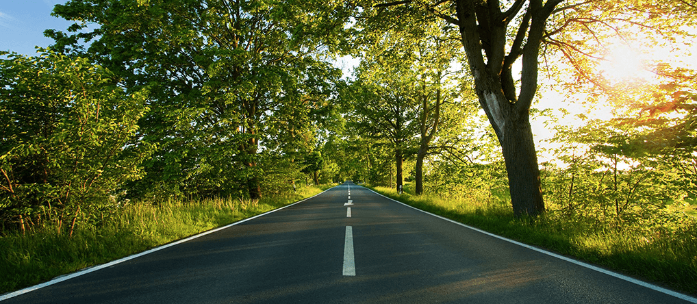 ������ʻ