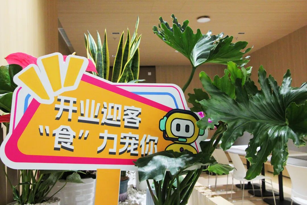 6686体育 - 流通首播全球篮球足球热门赛事