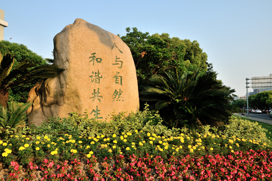 ����Ч��