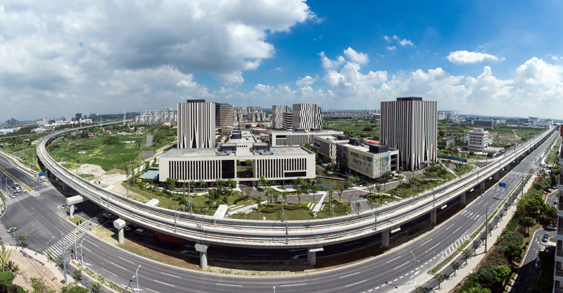 �����ܲ�