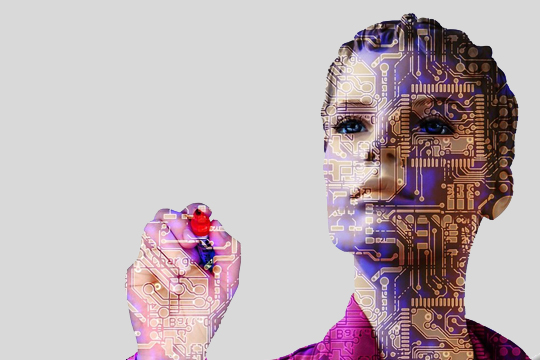 �Ļ�����