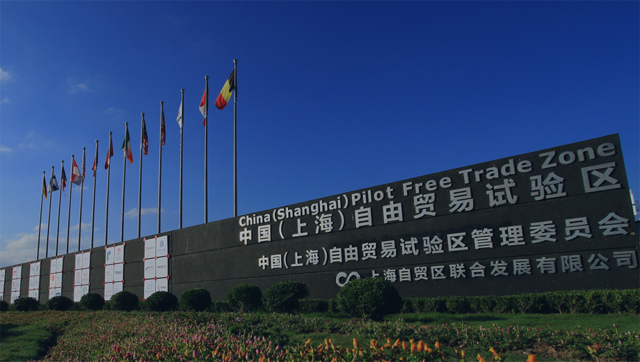 ��ϵ����