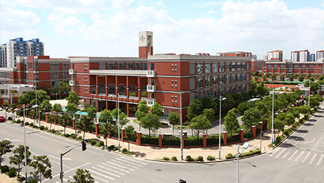 6686���� - �����ײ�ȫ�����������������������Сѧ